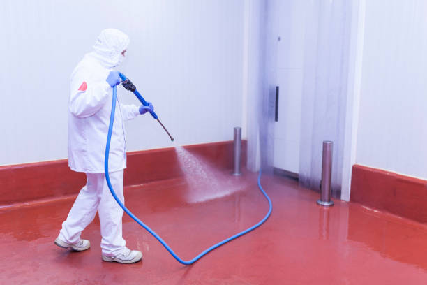 Paint Preparation in Center Moriches, NY